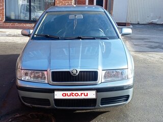 2002 Skoda Octavia I (A4) Рестайлинг, серый, 170000 рублей, вид 1