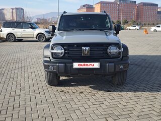 2025 Tank 300 I, серый, 3050000 рублей, вид 2