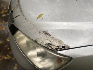 2013 Geely Emgrand EC7, серебристый, 165000 рублей, вид 3