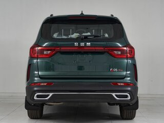 2024 SWM G05 Pro, зелёный, 1859000 рублей, вид 4