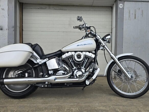 2004 Harley-Davidson Softail Deuce, белый, 990000 рублей - вид 14
