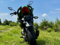 2020 Racer RC300B-F Panther PRO, зелёный, 109000 рублей - вид 1