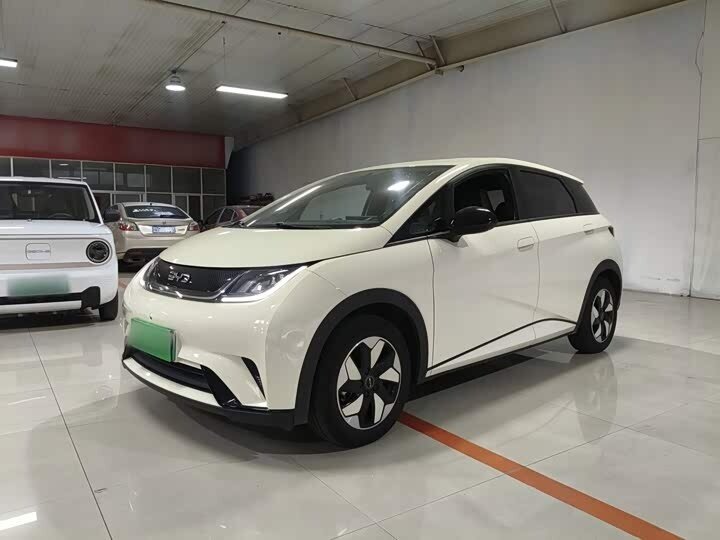 Открыть фотографии: BYD Dolphin I