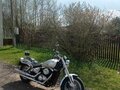 1999 Suzuki Desperado VZ400, серебристый, 350000 рублей - вид 8