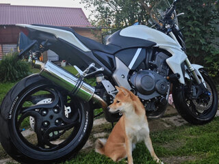 2008 Honda CB 1000R, белый, 625000 рублей, вид 1