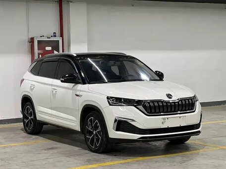 Skoda Kamiq I