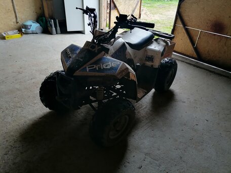 2022 Motoland ATV 110 Eagle, белый, 60000 рублей, вид 5