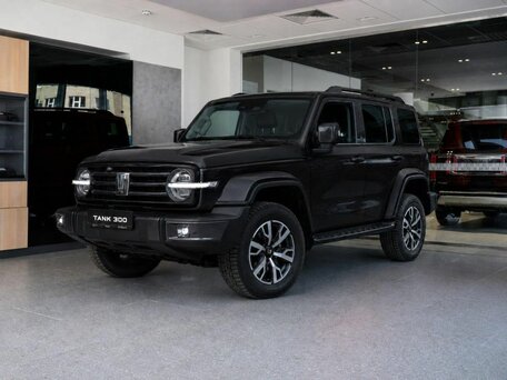 Tank 300 I