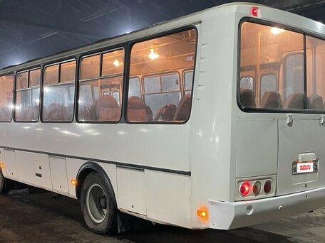 2017 ПАЗ 4234, белый, 1590000 рублей, вид 2