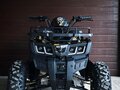 2025 Motax Grizlik 200, жёлтый, 160000 рублей - вид 1