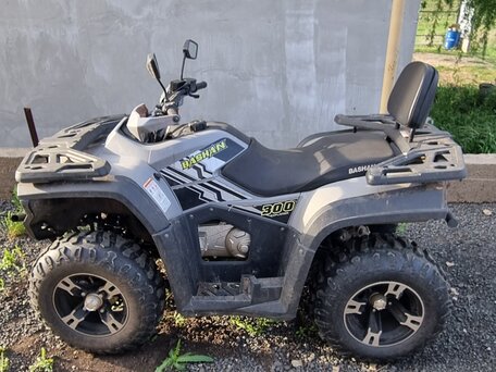 2024 Bashan Explorer 300, серый, 270000 рублей, вид 2