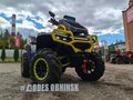 2026 AODES (Odes) Pathcross 1000 Mud Pro, жёлтый, 1597000 рублей - вид 11