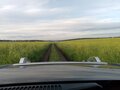 2006 Hummer H3, чёрный, 1720000 рублей - вид 2