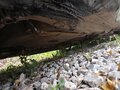 1992 Audi 100 IV (C4), зелёный, 299000 рублей - вид 8
