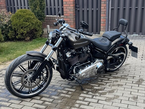 2019 Harley-Davidson Breakout, серый, 1800000 рублей - вид 9