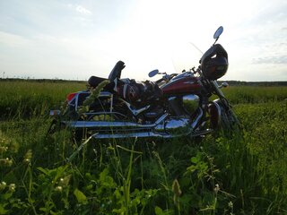 2011 Suzuki Intruder 800, пурпурный, 639000 рублей, вид 1