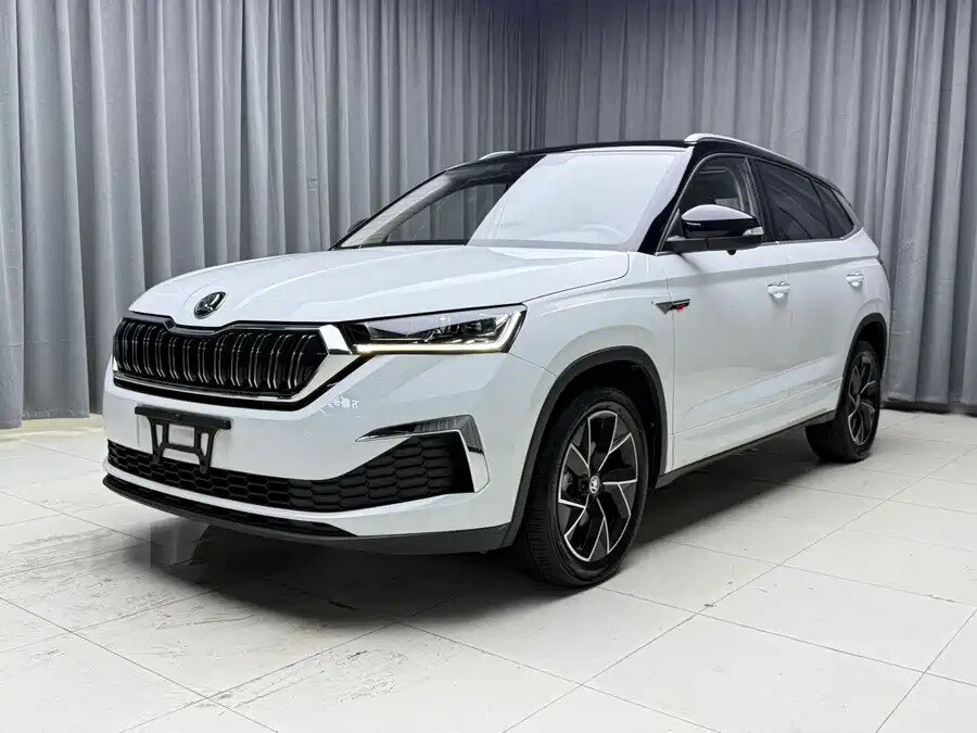 Открыть фотографии: Skoda Kamiq I (China Market)