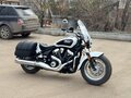 2024 Indian Scout, белый - вид 1