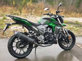 2024 Regulmoto T-Leopard 300, зелёный, 180000 рублей, вид 1