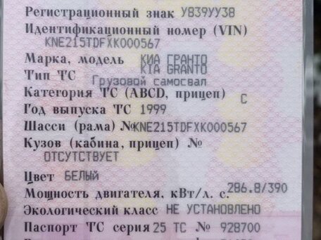 1999 Kia Granto, белый, 1000000 рублей, вид 4