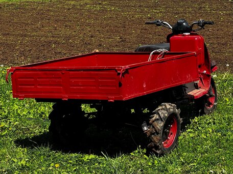 1980 ТМЗ (Туламашзавод) 5.951, красный, 40000 рублей, вид 3