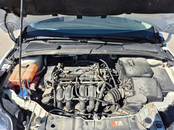2014 Ford Focus III, белый, 810000 рублей - вид 9