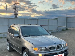 2004 BMW X5 4.4i I (E53) Рестайлинг, серый, 1000000 рублей, вид 3