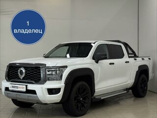 Great Wall Poer King Kong