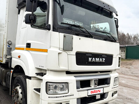 2018 КамАЗ 5490 NEO, белый, 1650000 рублей, вид 2