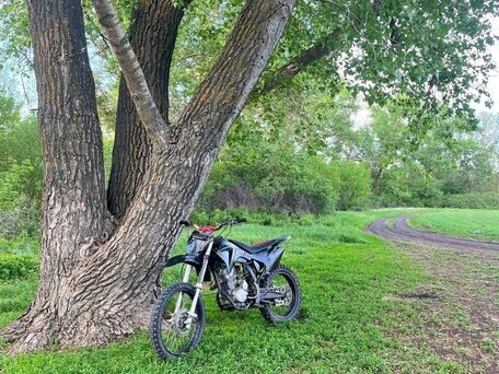 2021 Irbis TTR 250, чёрный, 83000 рублей, вид 4