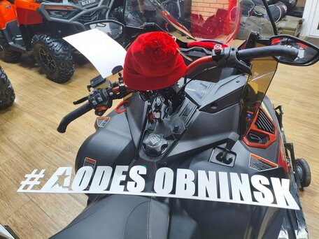 2025 AODES (Odes) Snowcross 1000, бежевый, 999000 рублей, вид 2