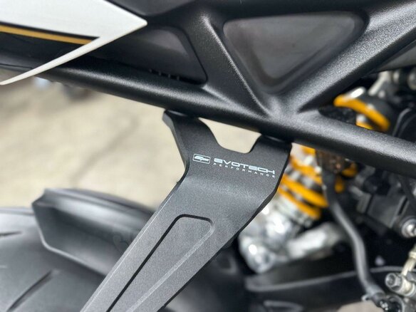2022 Triumph Speed Triple, белый, 1550000 рублей - вид 33