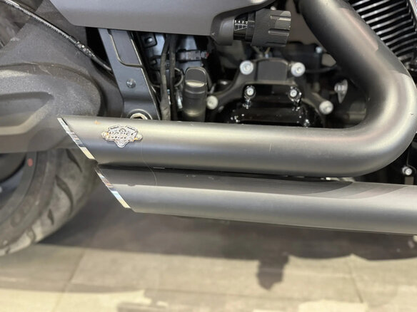 2018 Harley-Davidson FXDR 114, чёрный, 2400000 рублей - вид 21