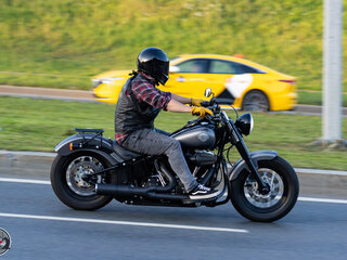 2014 Harley-Davidson Softail Slim, серый, 1300000 рублей, вид 1