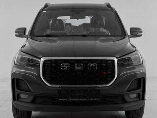 2024 SWM G05 Pro, серый, 1859000 рублей, вид 2