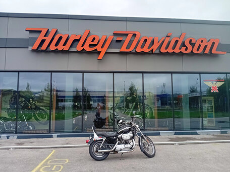 2003 Harley-Davidson Sportster 1200, чёрный, 625000 рублей, вид 2