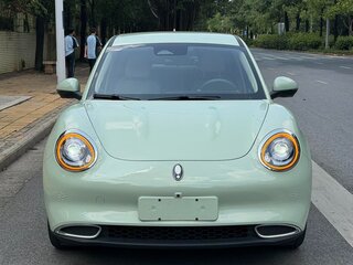 2022 Ora Good Cat 46 kWh I, зелёный, 1565000 рублей, вид 2