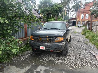 2000 Ford F-150 X, чёрный, 1350000 рублей, вид 2