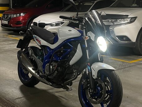 2012 Suzuki SFV 650 Gladius, белый, 450000 рублей, вид 1