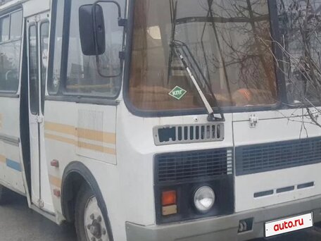 2010 ПАЗ 3205, белый, 300000 рублей, вид 2