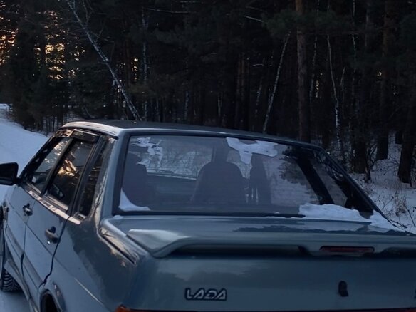 2002 Lada (ВАЗ) 2115, серый - вид 4
