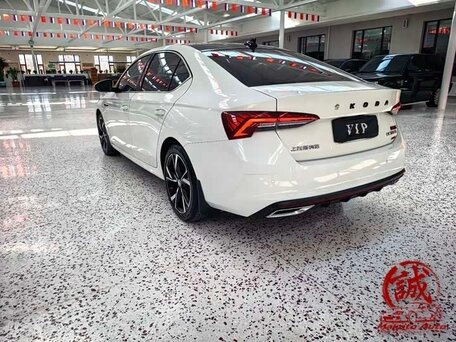 2022 Skoda Octavia IV (A8), белый, 1585000 рублей, вид 5