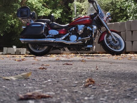 2009 Yamaha XVS1300, красный, 690000 рублей, вид 2