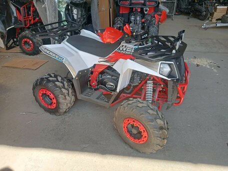 2024 Wels Thunder EVO, белый, 88500 рублей, вид 1