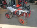 2024 Wels Thunder EVO, белый, 88500 рублей