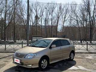 2001 Toyota Allex I, серый, 610000 рублей, вид 2