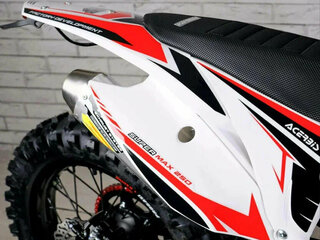 2026 Progasi Super Max 250, красный, 161200 рублей, вид 4