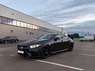 2019 Mercedes-Benz CLS AMG 53 AMG III (C257), серый, 5500000 рублей, вид 1