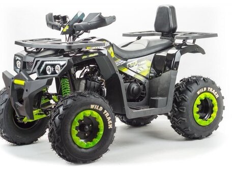 2020 Motoland Wild Track 200, чёрный, 160000 рублей, вид 1