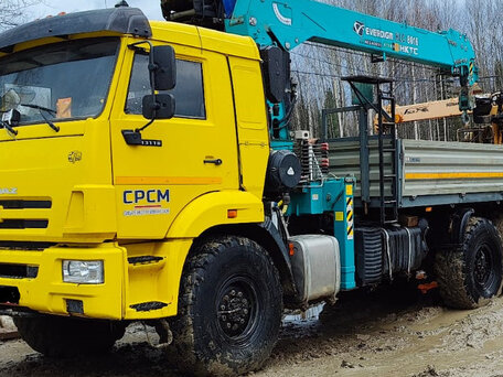 2021 КамАЗ 43118, жёлтый, 6500000 рублей, вид 1